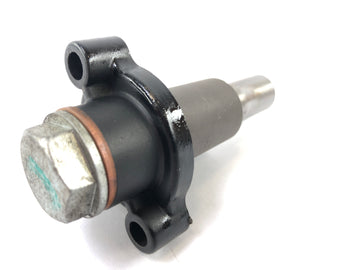 Triumph Daytona 955i T595 [1999] - timing chain tensioner - 0