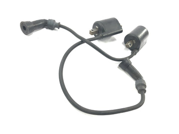 Suzuki Intruder VL 1500 AL [2000] - Bobina d'accensione bobine d'accensione cavo accensione connettore candela