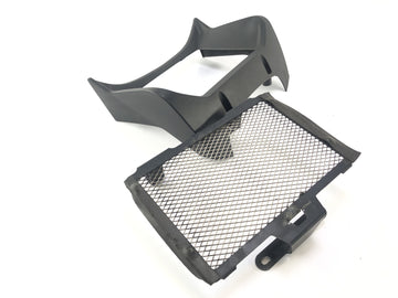 BMW R 1200 R [2007] - Radiator grille cover - 0