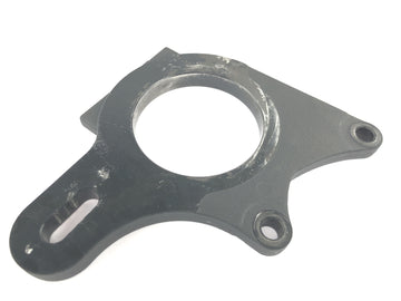 TRIUMPH DAYTONA 955I T595 [1998] - Piastra di ancoraggio freno - 0
