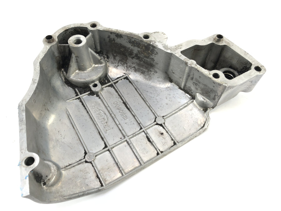 Triumph Thunderbird 900 T309RT [1996] - pinion cover engine cover