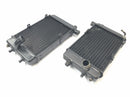 Aprilia RST 1000 FUTURA [2002] - Cool Water Refrigeratore Set Couple-4