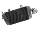 BMW C1 125 [2002] - Kühler Wasserkühler Kühlradiator Kühlsystem mit Einfüllstutzen-1