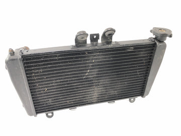 Triumph Speed Triple 1050 515NJ [2007] - Radiatore Scambiatore di calore per radiatore moto