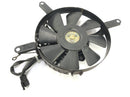 Kawasaki VN 800 Classic [2000] - Fan Fan Fan-1
