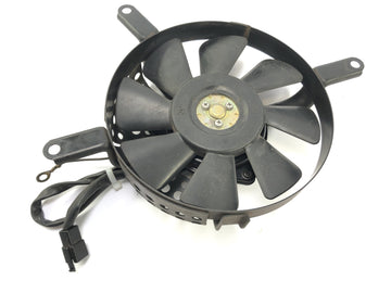 Kawasaki VN 800 Classic [2000] - Fan Fan Fan