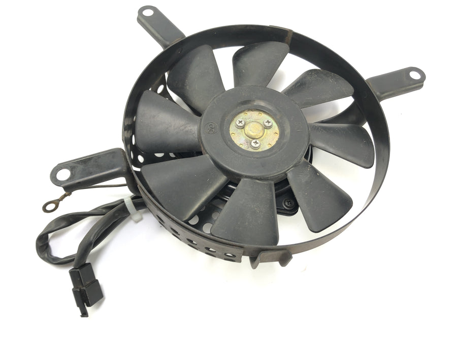 Kawasaki VN 800 Classic [2000] - Fan Fan Fan