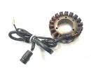 Kawasaki ZX 12 R ZXT20A [2001] - Generatore alternatore statore-2