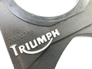 Triumph Daytona 955i T595 [1999] - Bremsanker Ankerplatte-2