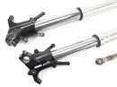 Moto Guzzi Stelvio 1200 4V [2009] - FORCHIO FORCHIO SUSPENSIONE TELEGABEL con asse-1