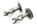 Aprilia RSV 1000 RP Mille [2001] - Set alberi a camme albero a camme di scarico posteriore e cilindro posteriore albero a camme di aspirazione-1