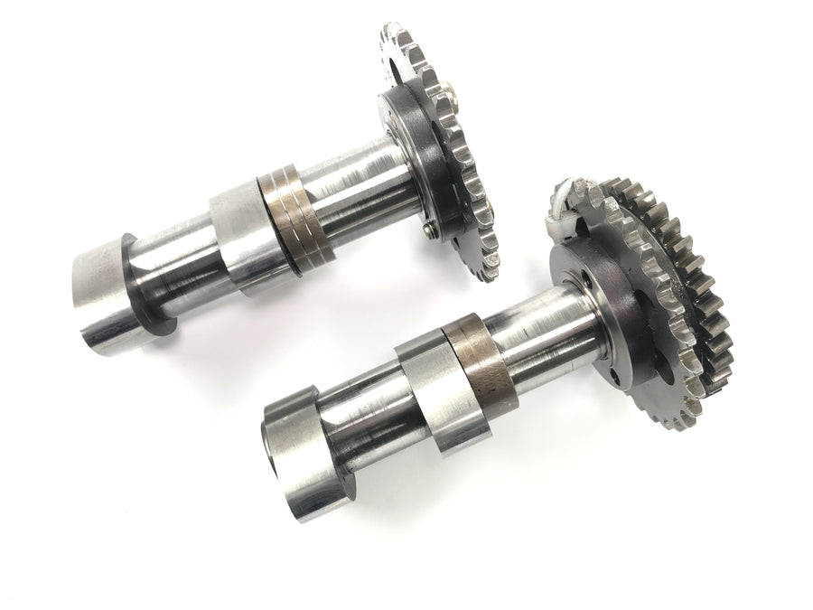 Aprilia RSV 1000 RP Mille [2001] - Set alberi a camme albero a camme di scarico posteriore e cilindro posteriore albero a camme di aspirazione