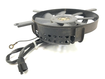 Kawasaki VN 800 Classic [2000] - Fan Fan Fan - 0