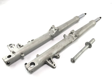 BMW R 1150 R R21 [2003] - Gabel Telegabel con Axis Telelever - 0