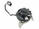 SWM SM 125 R [2018] - Radiator fan-4