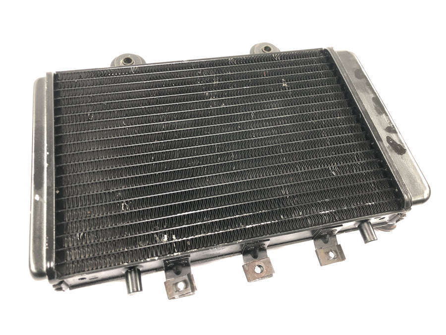 Triumph Thunderbird 900 T309RT [1995] - Kühler Wasserkühler Radiator Kühlsystem