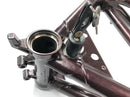 Benelli TNT 1130 [2009] - Cornice con documenti-4