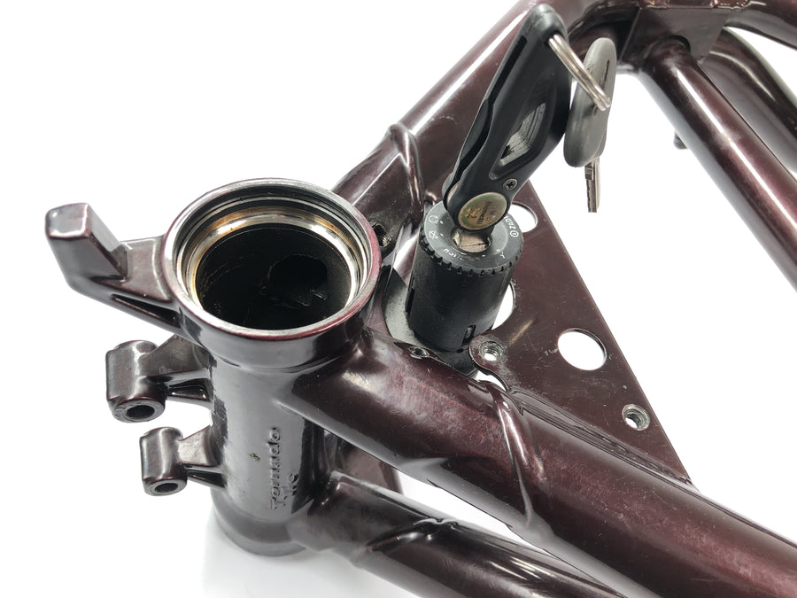 Benelli TNT 1130 [2009] - Cornice con documenti