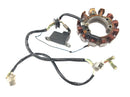 Yamaha XT 600 43F [1985] - Generatore di statori alternatore-1