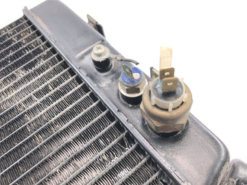 Yamaha GTS 1000 4FV [1997] - Radiatore acqua con sensori di temperatura - 0