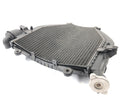 BMW K 1200 S K12S [2004] - Modulo di raffreddamento radiatore moto radiatore acqua-1