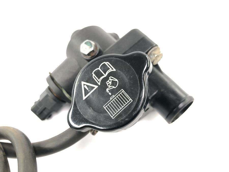 TRIUMPH DAYTONA 955I T595 [1998] - Kühlmittelthermostat Thermostatgehäuse