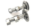 Aprilia RSV 1000 R [2004] - Set albero a camme albero a camme cilindro posteriore-2