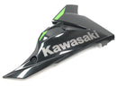 Kawasaki Ninja 125 BX125B [2024] - Pagina di cancellazione del rivestimento del bug di destra-1