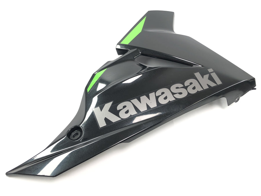 Kawasaki Ninja 125 BX125B [2024] - Pagina di cancellazione del rivestimento del bug di destra