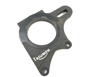 Triumph Daytona 955i T595 [1999] - Brake anchor plate