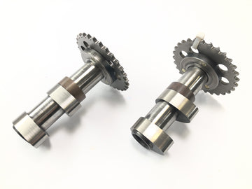 Aprilia RST 1000 FUTURA [2002] - Set di alberi a camme di albero a camme di ingresso e camme di uscita