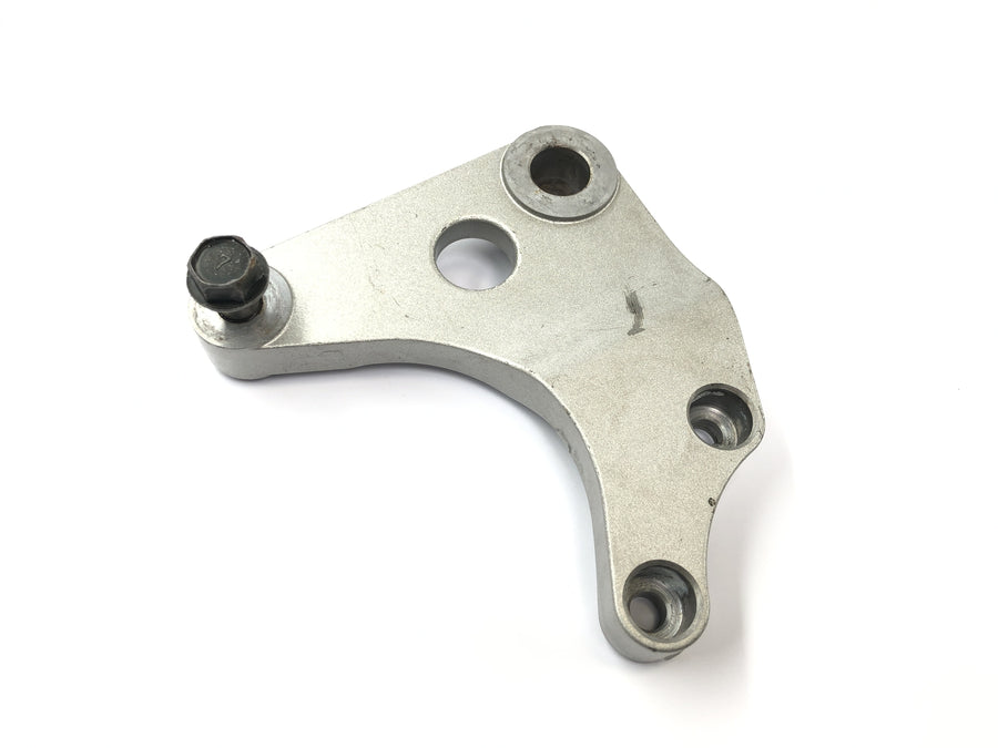 Kawasaki VN 1600 Classic VNT60A [2007] - Bremssattelhalter hinten Bremszangenaufnahme