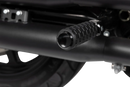Harley Davidson Softail Street Bob Fxbb [ARLEN NESS] – Pedane M-Eight Fusion-2