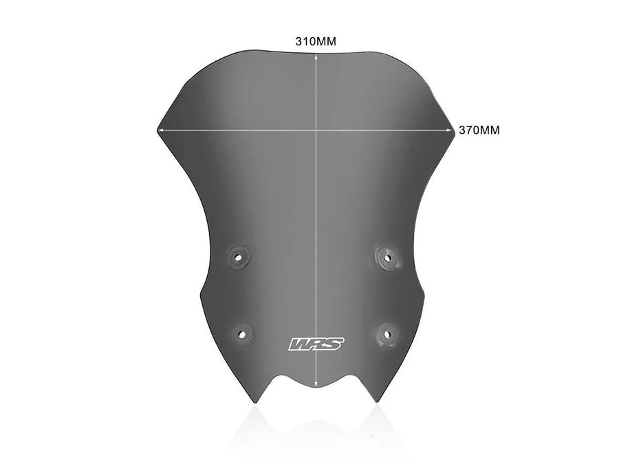 Kawasaki Z 900 [WRS] – Windschild