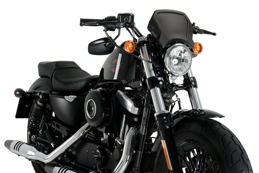 HARLEY DAVIDSON SPORTSTER FORTY-EIGHT XL 1200 X [2020] - Pannello frontale ALU