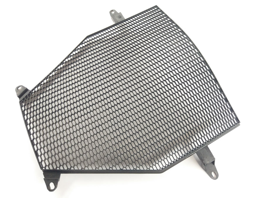 BMW K 1200 R [2010] - Radiator cover