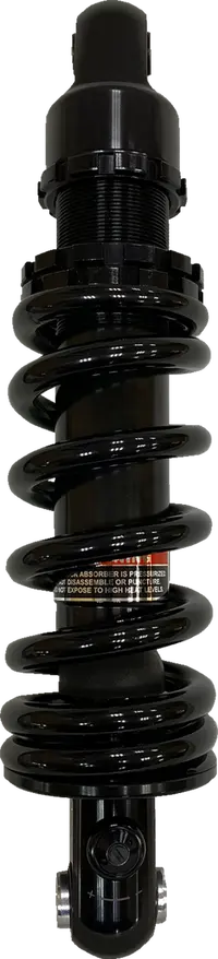 Harley-Davidson FLHCS 1923 Softail Heritage Classic 117 [2025] - sonda lambda da 12 mm - immagine 5