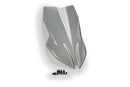 BMW F 900 XR [2025] – Tourenscheibe – Transparent-3