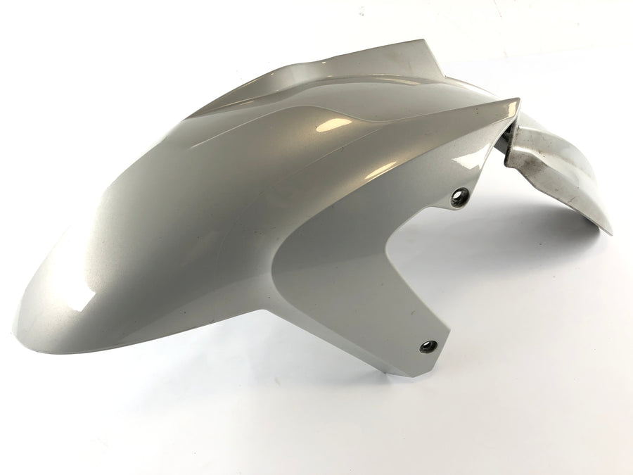 BMW K 1300 S K12S [2009] - Front fender front