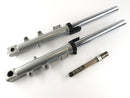Triumph Sprint 955i RS T695 [2001] - Fork Telegabel con asse-1
