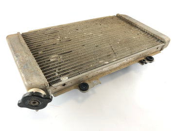 Yamaha Grizzly 660 AM03W [2003] - Cooler Cool Water - 0