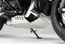 BMW R nineT [2018-2023] - barra di protezione motore argento – immagine 2