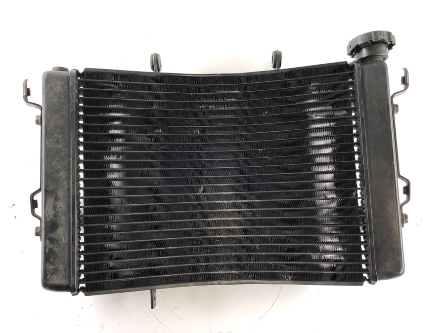 Triumph Street Triple R 675 D67LD [2008] - Cooler Cool Water