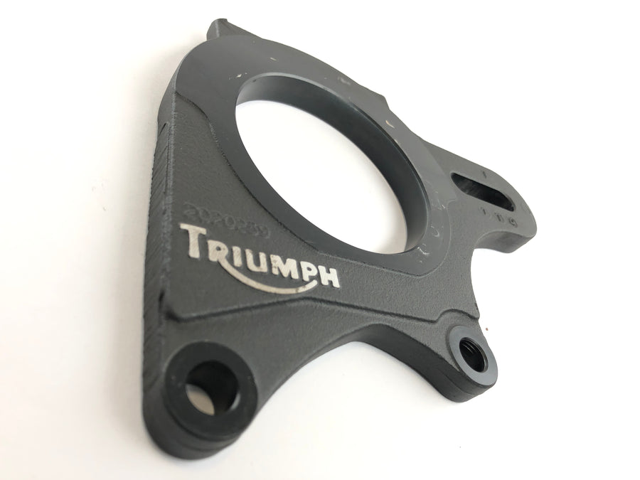 Triumph Daytona 955i T595N [2001] - Ankerplatte Bremsanker