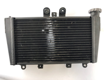 Triumph Speed ​​Triple 1050 515NJ [2006] - Cool Cooler Acqua - 0
