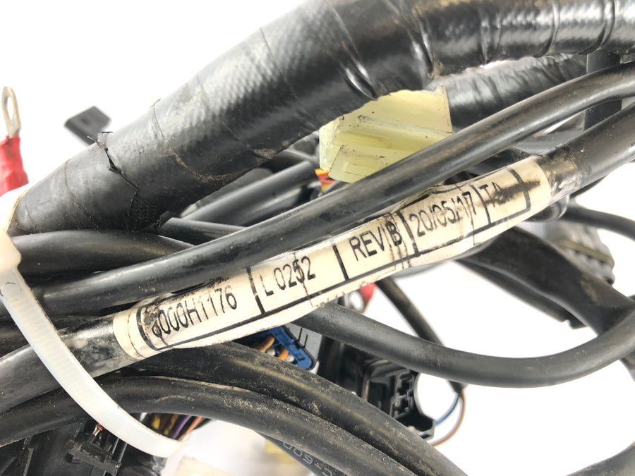 SWM SM 125 R [2017] - Wiring harness