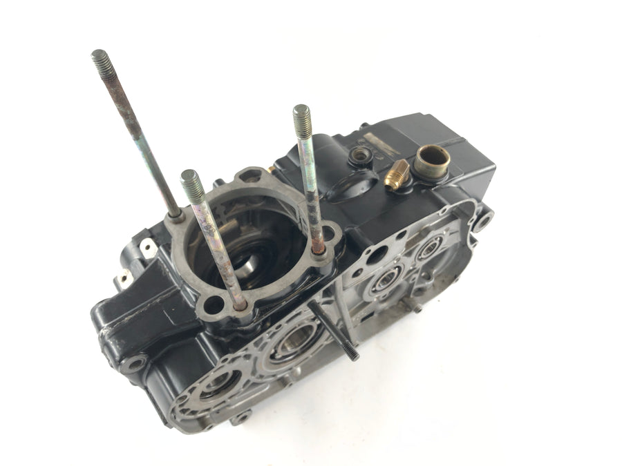 KTM 500 gs [Rotax] - Alloggiamento del motore a casa vuota