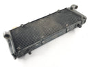 Aprilia RSV 1000 RR Factory [2009] - Radiator Water Cooler-4