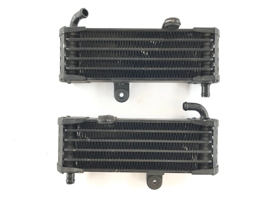 Aprilia RSV 1000 RR Factory [2009] - Set di radiatore dell'olio