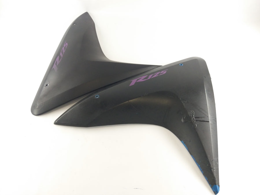Yamaha YZF 125 Re06 [2011] - Parte di copertura